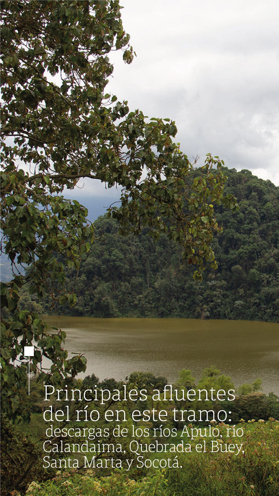 Día del río Bogotá: ¿Por qué salvar a este importante afluente?