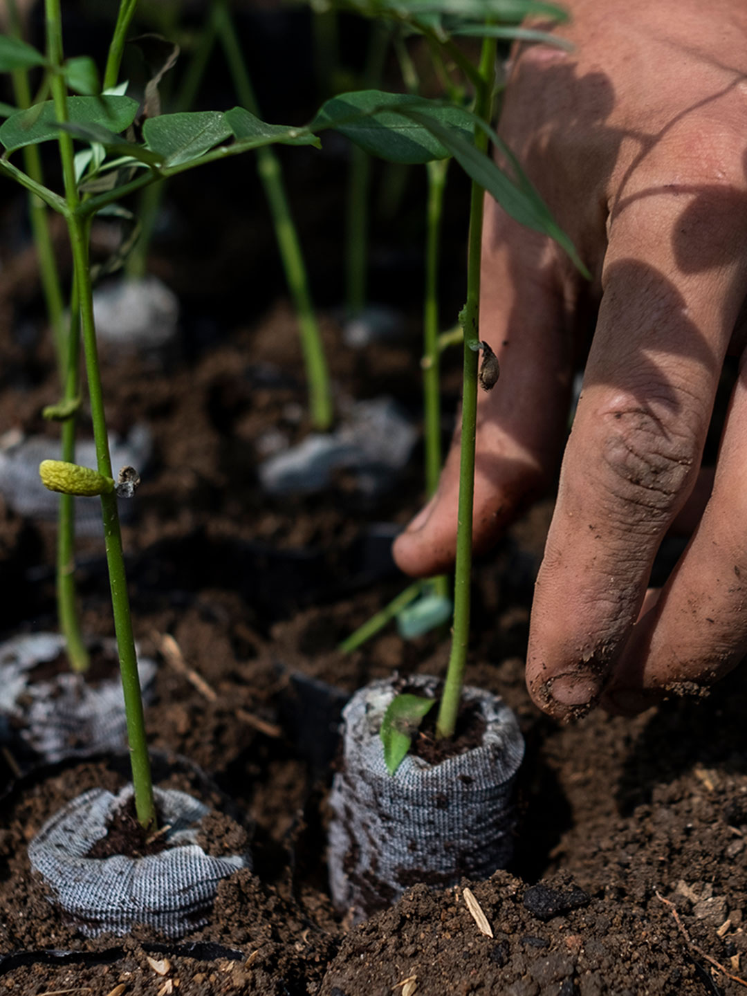 Los esfuerzos de Colombia para proteger el medioambiente