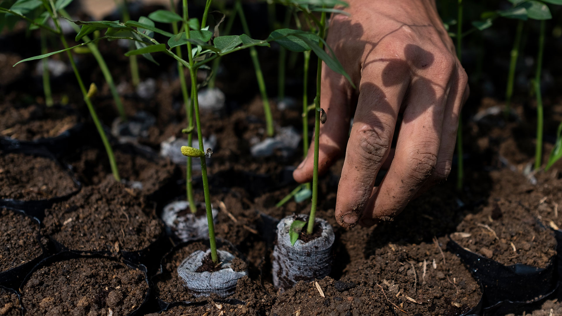 Los esfuerzos de Colombia para proteger el medioambiente