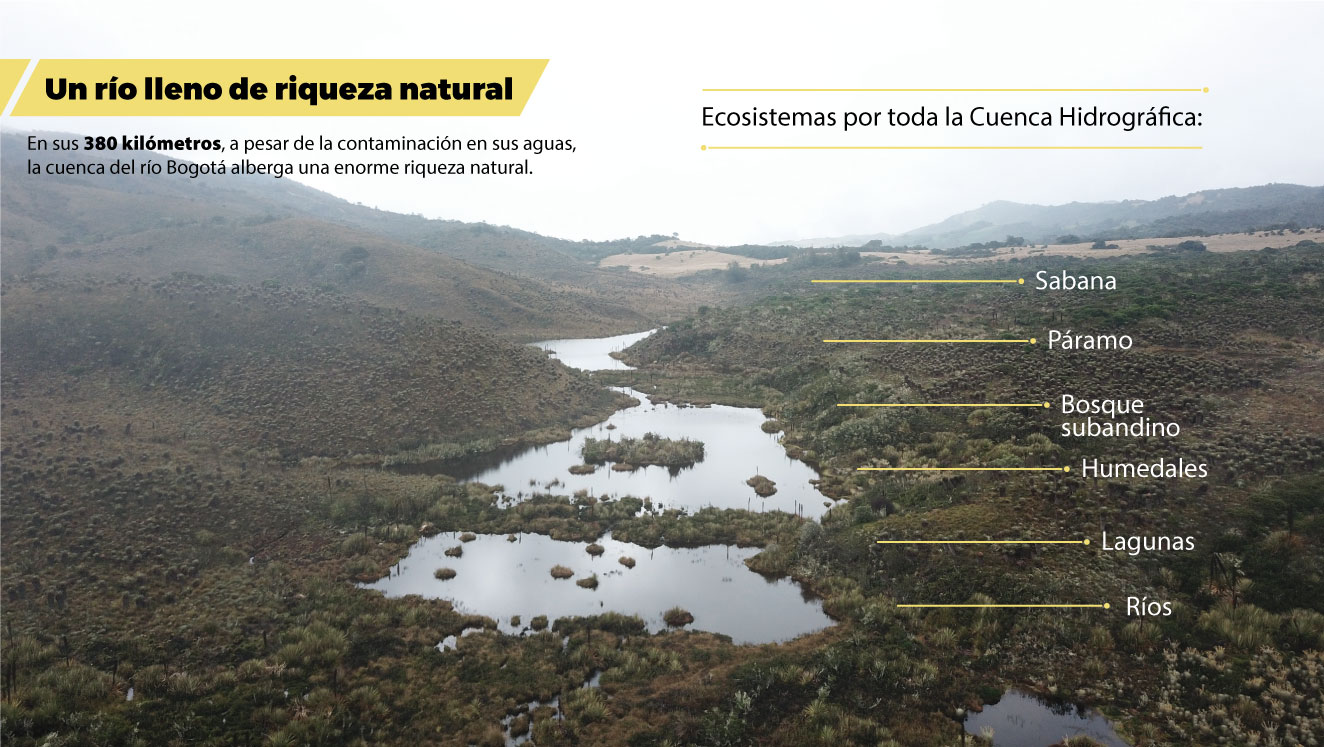 Río Bogotá: Un río lleno de riqueza natural