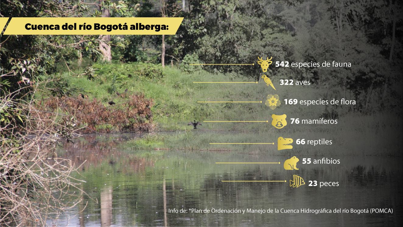 Río Bogotá: Un río lleno de riqueza natural
