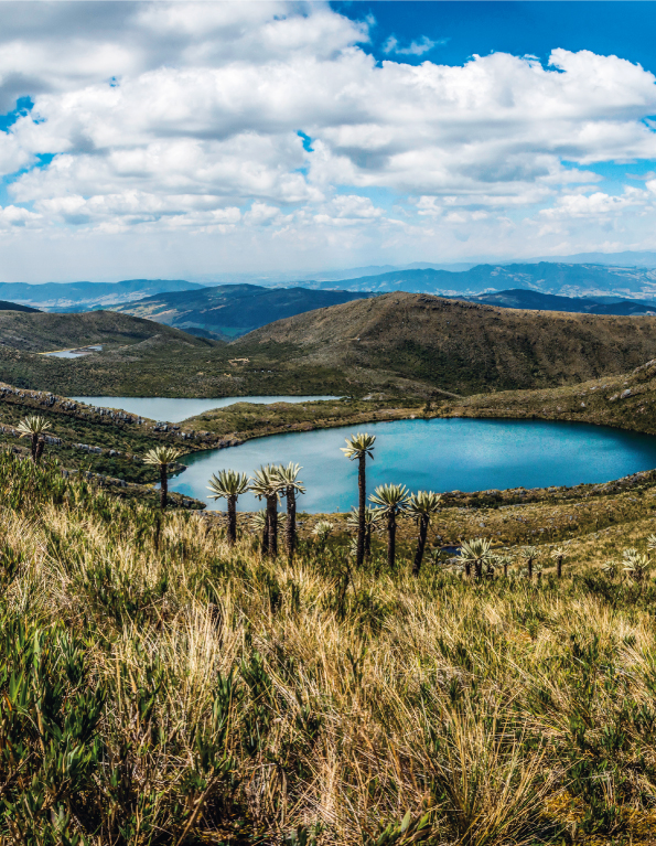 Cundinamarca, una nueva región