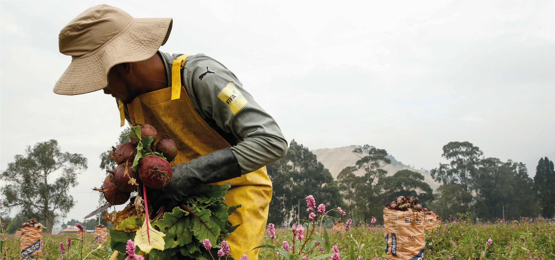 Cundinamarca, una nueva región